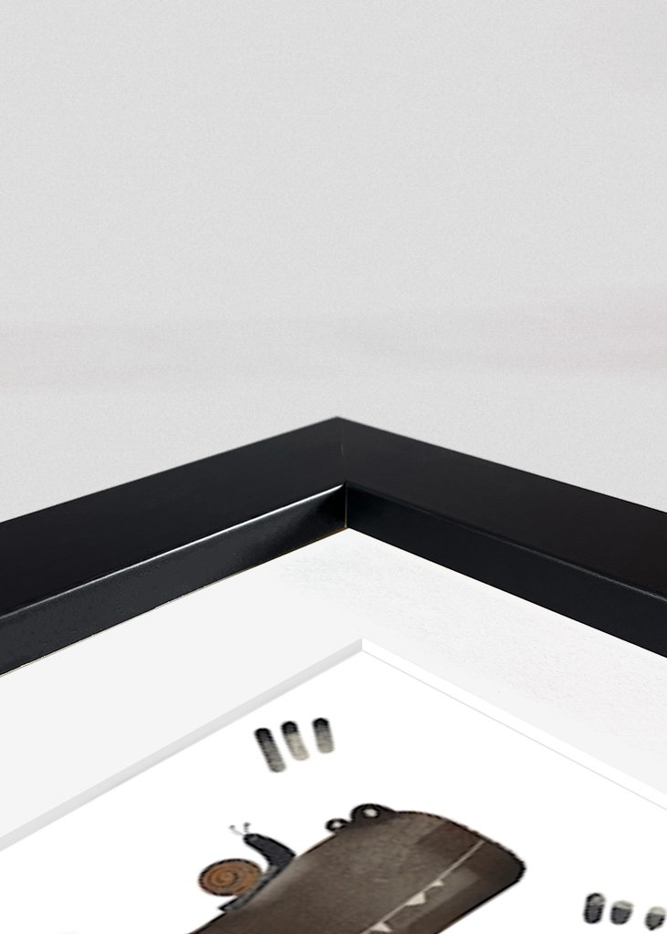 Zvířata z džungle