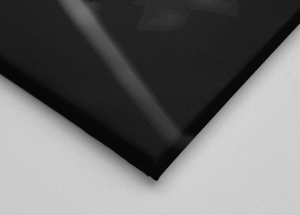 Dandelion in black and white