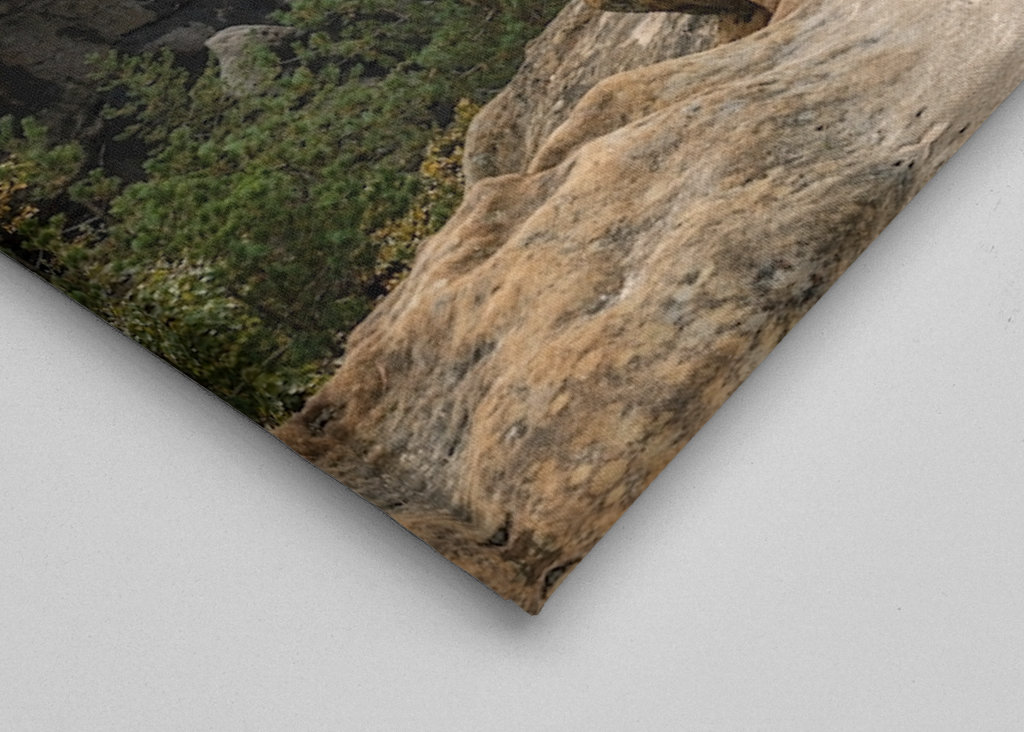 Elbsandsteingebirge Abendlicht