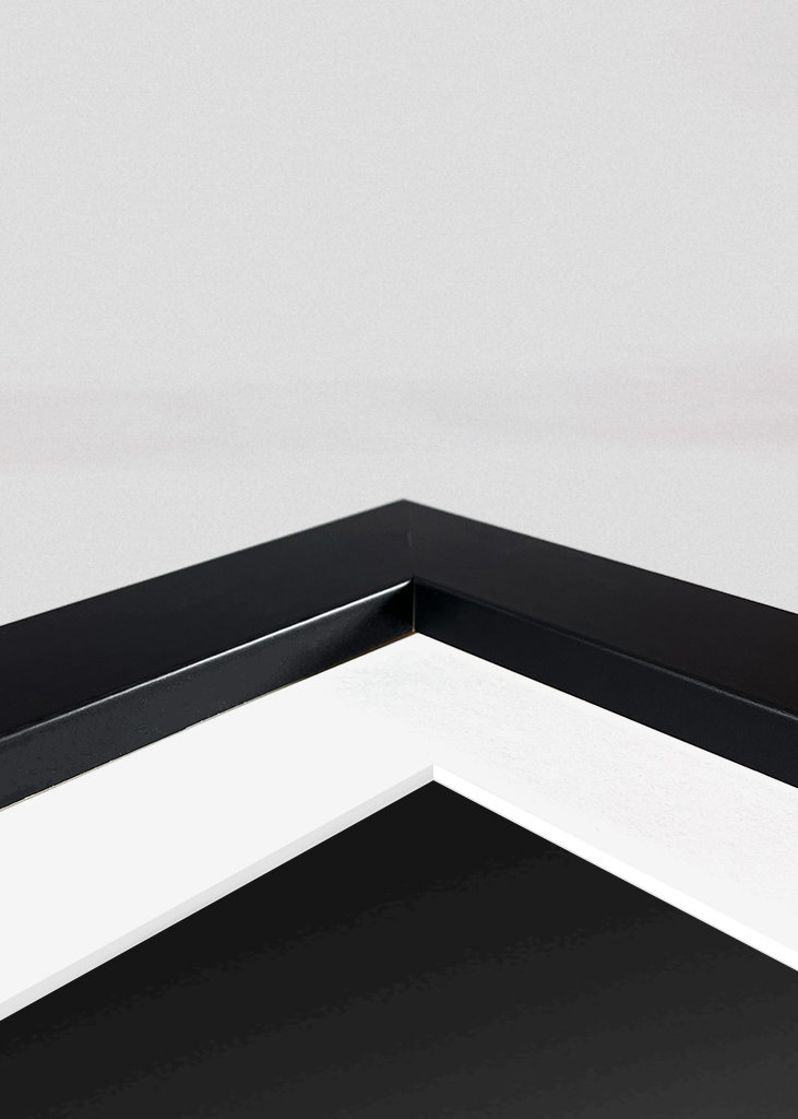 Frankfurt Skyline B&W