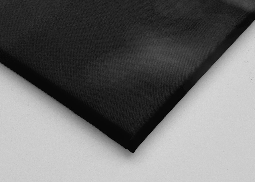 tulips in black and white