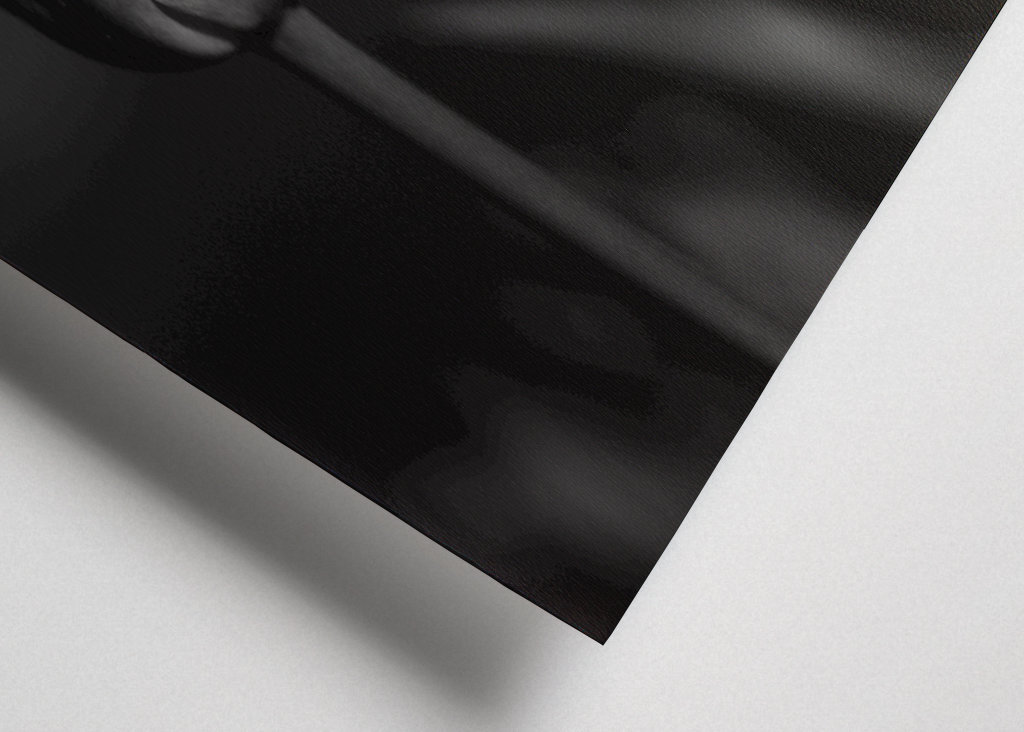 tulips in black and white