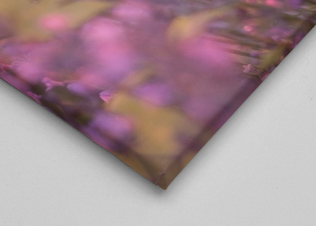 Levendula esti fényben