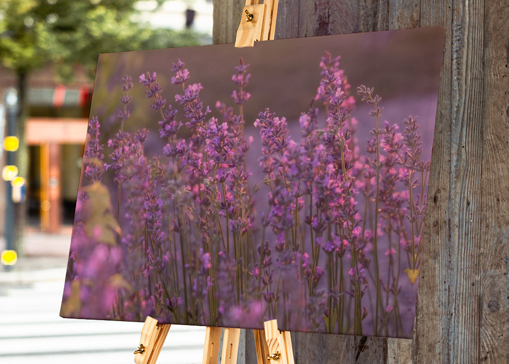 Levendula esti fényben