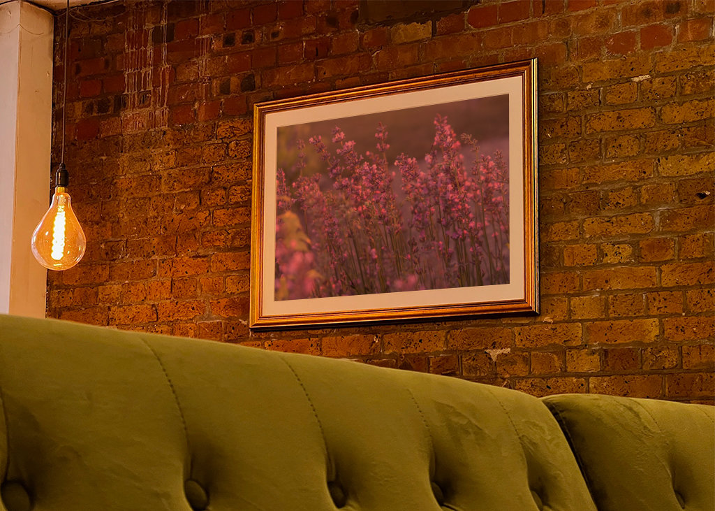 Levendula esti fényben