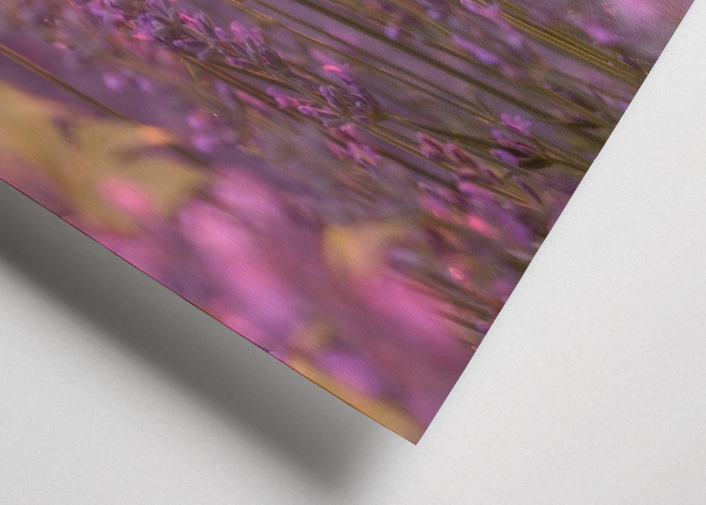 Levendula esti fényben