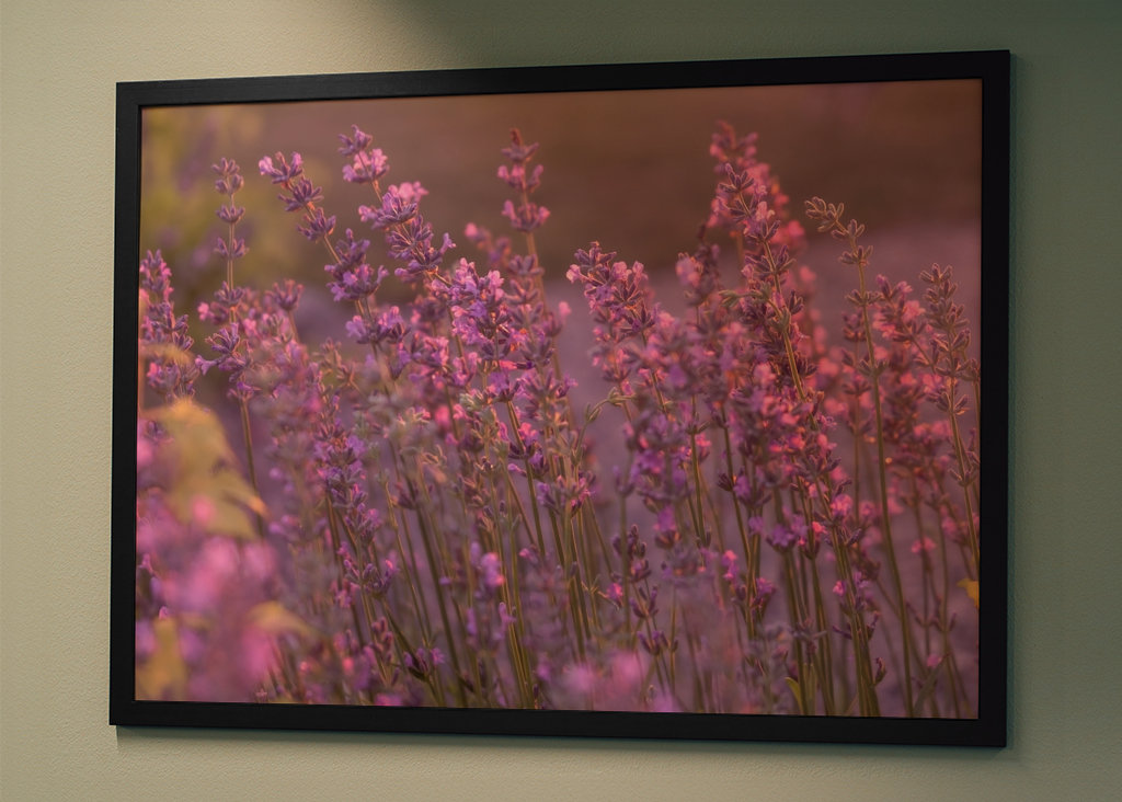 Levendula esti fényben