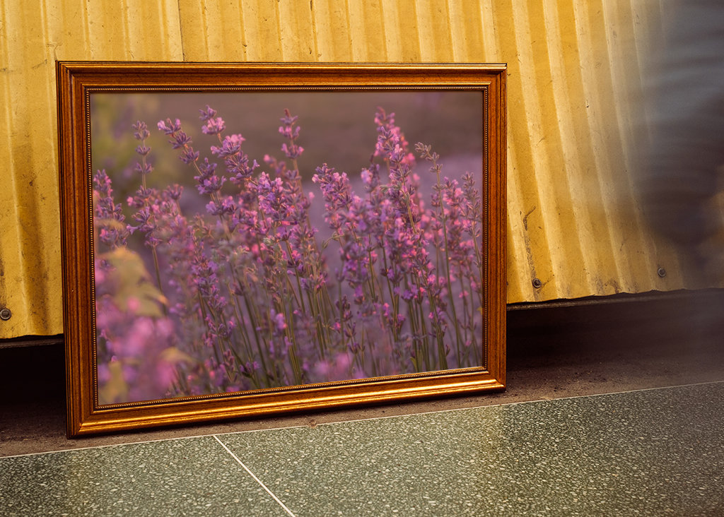 Levendula esti fényben