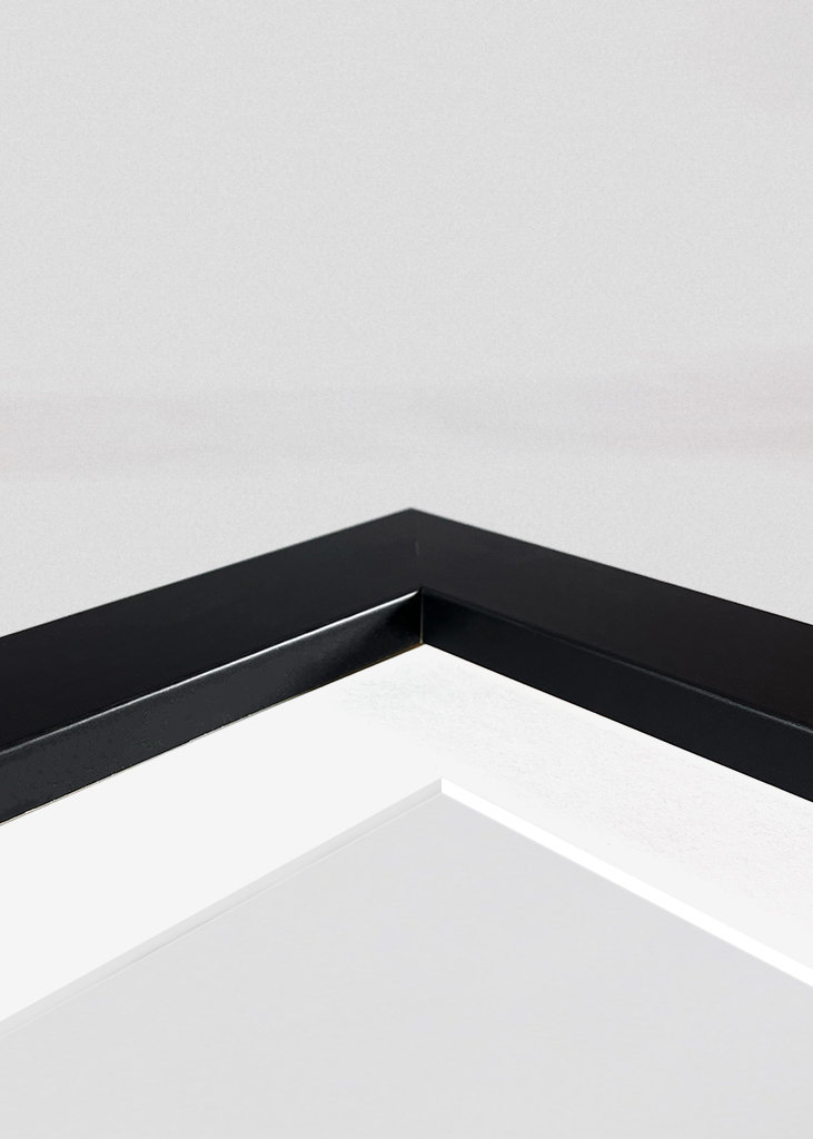 Rensdyrportræt i Norge