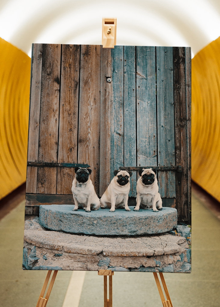 PUGS