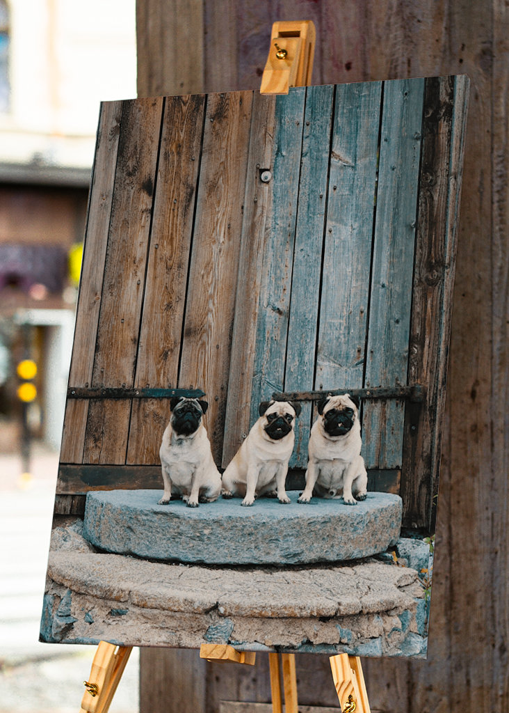 PUGS