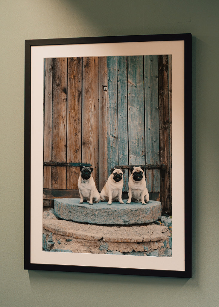 PUGS