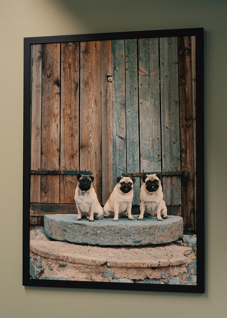 PUGS