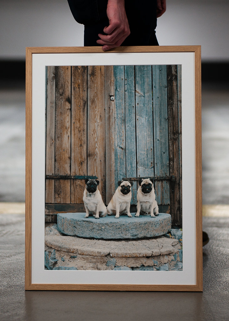 PUGS