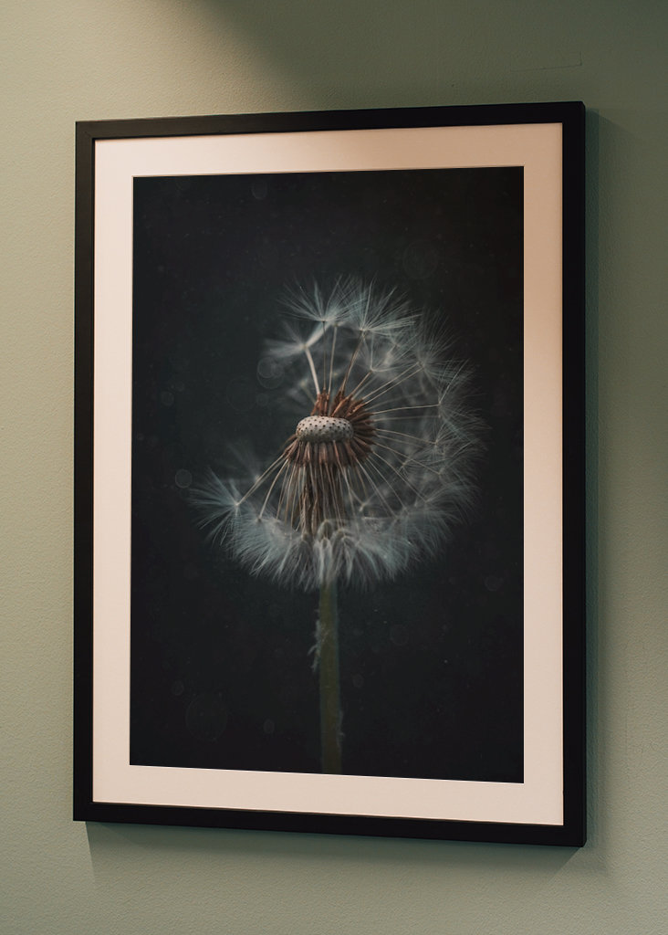 The Dandelion