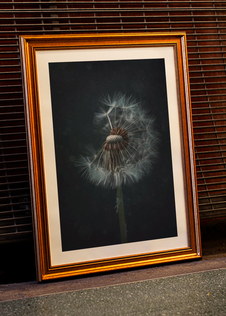 The Dandelion