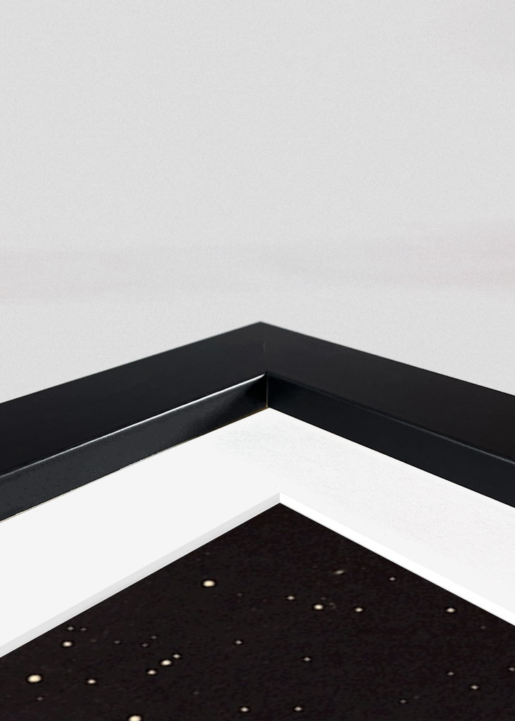 Vintage Space Promenade