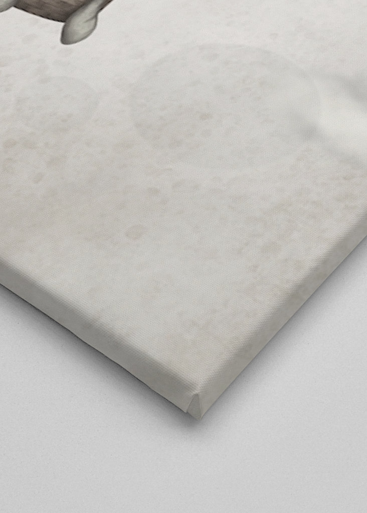 Hot Air Balloon Giraffe