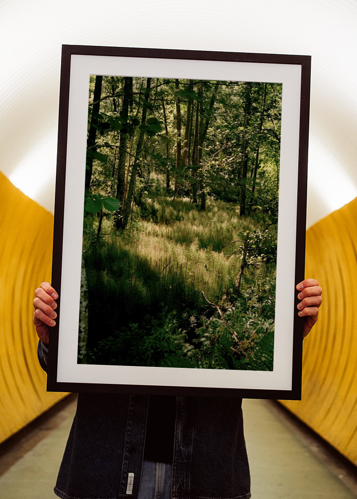 Helsinki Island Forest