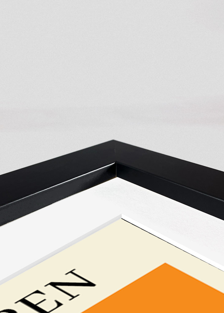 Swedish Open tennisplakat