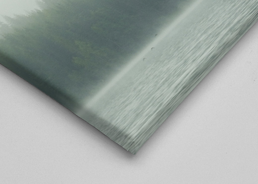 Świerkowy las w porannej mgle