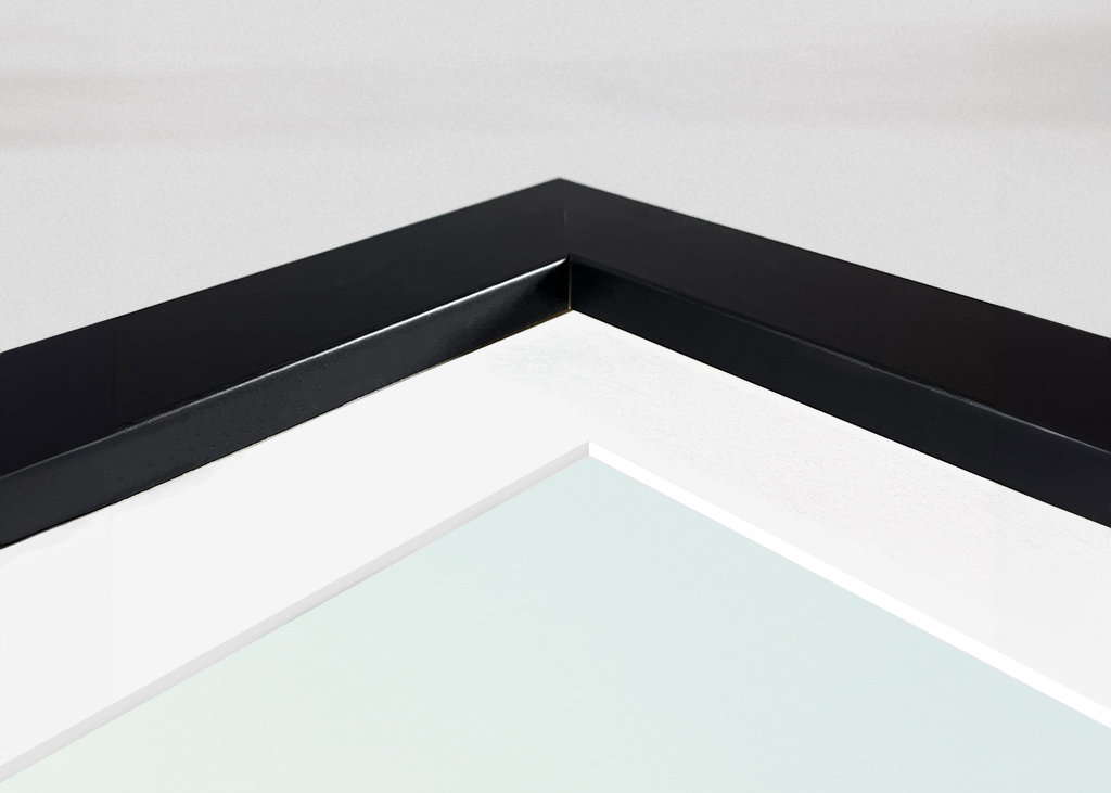 Świerkowy las w porannej mgle