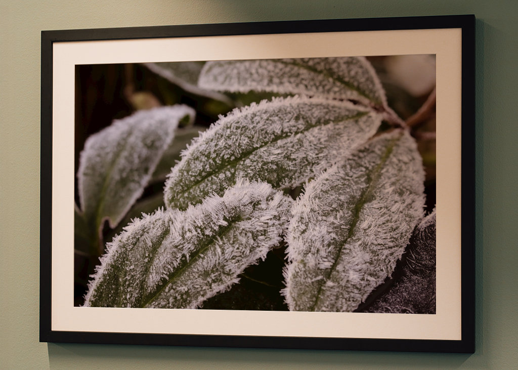 Frostade blad no 2