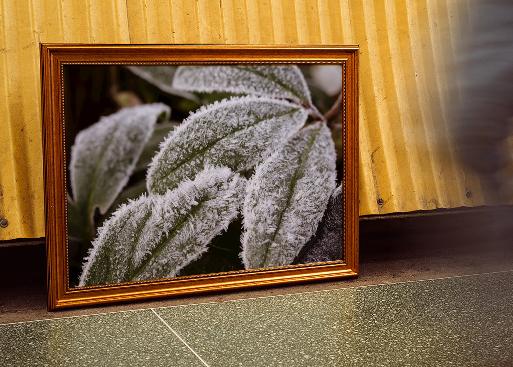 Frostade blad no 2