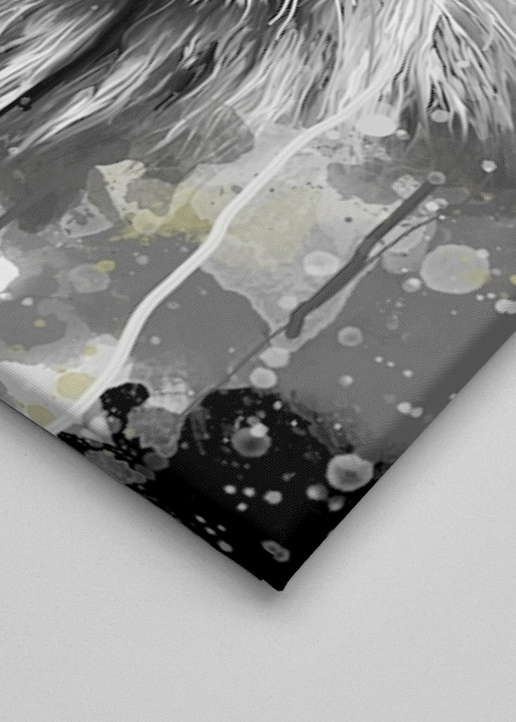 Lion Black and white