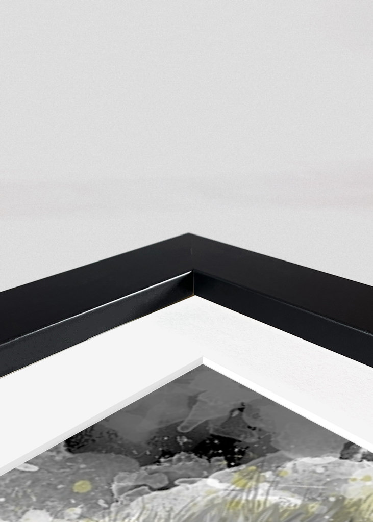 Lion Black and white