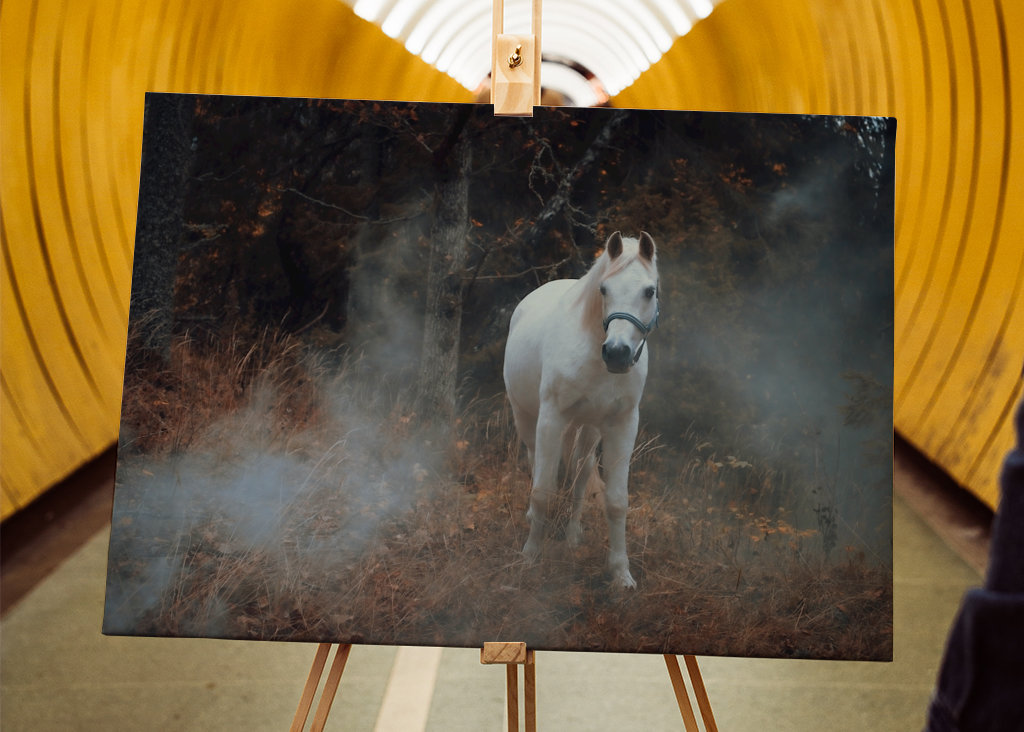 Kůň a kouř