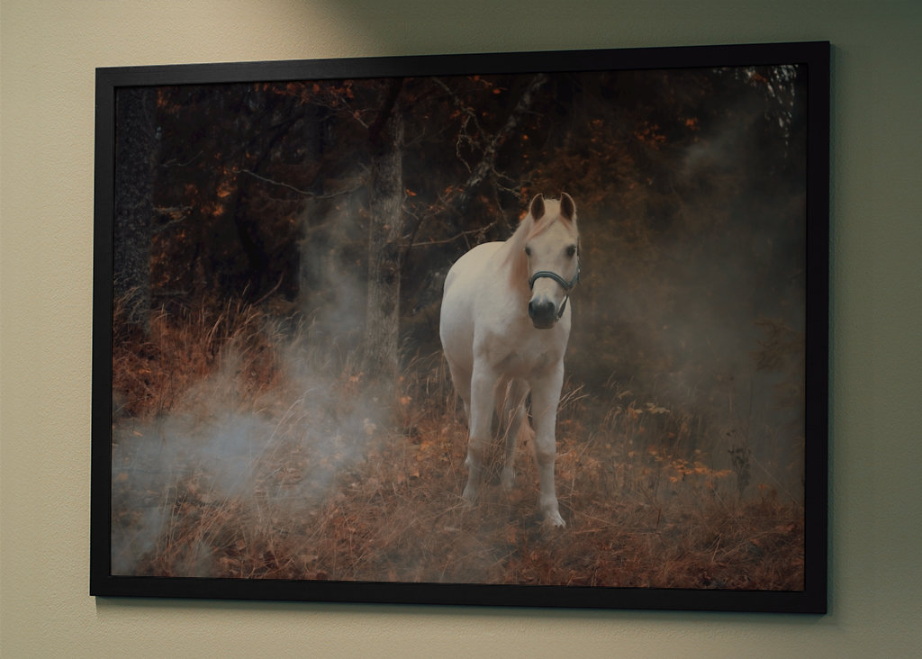 Kůň a kouř