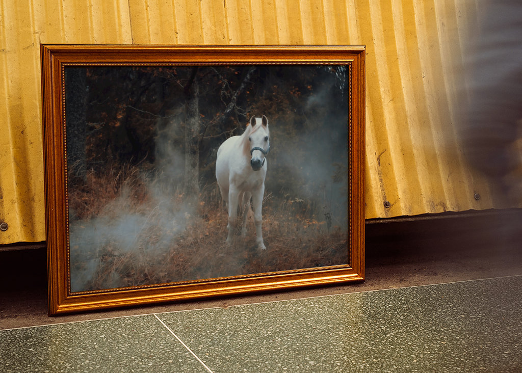 Kůň a kouř