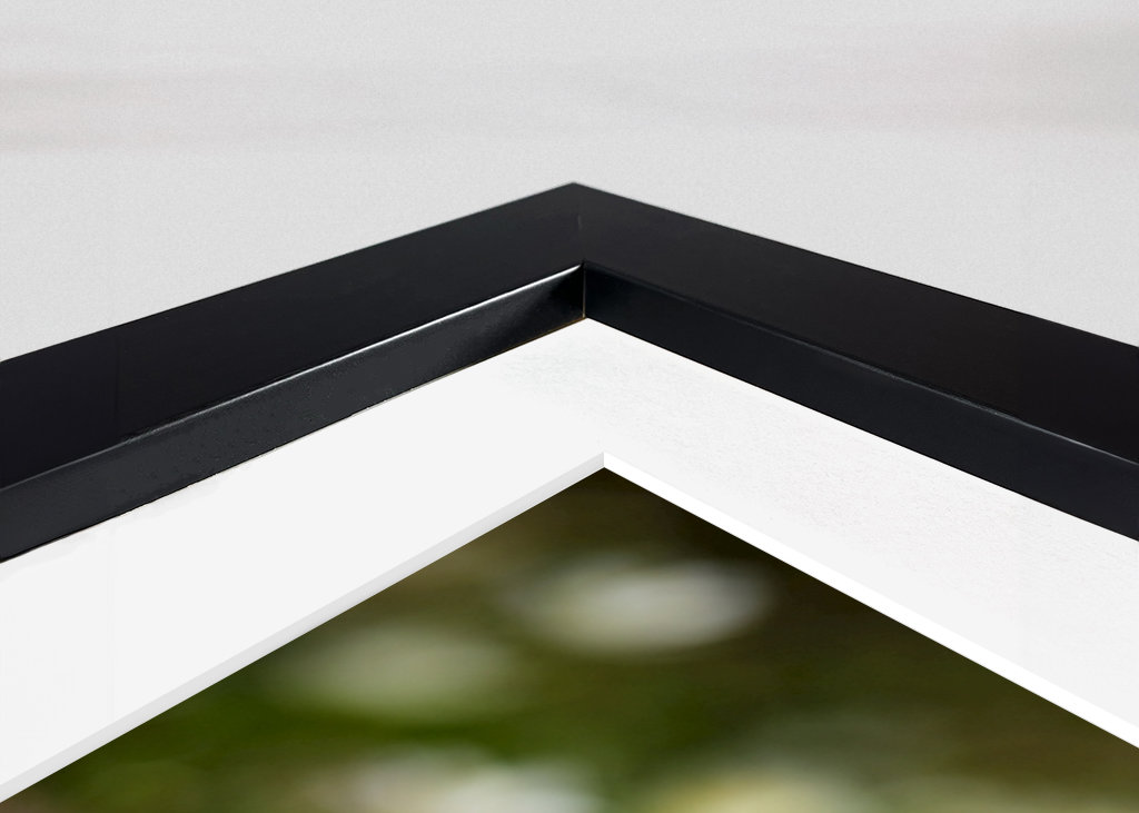 Osamělá sasanka lesní v lese