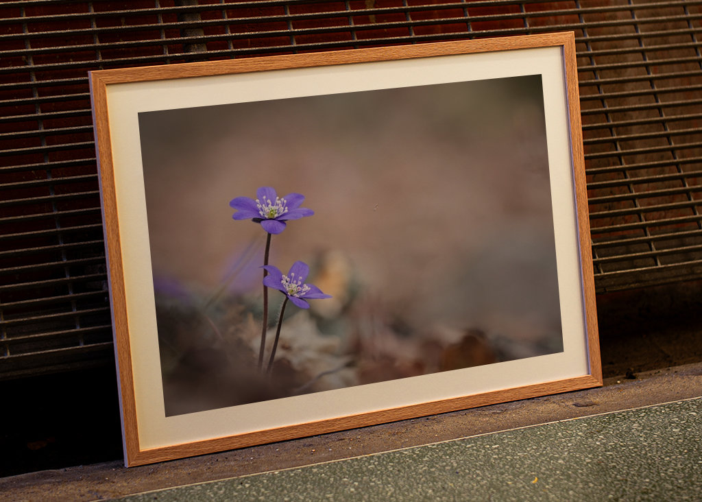 Ein Paar blaue Paprika im Wald
