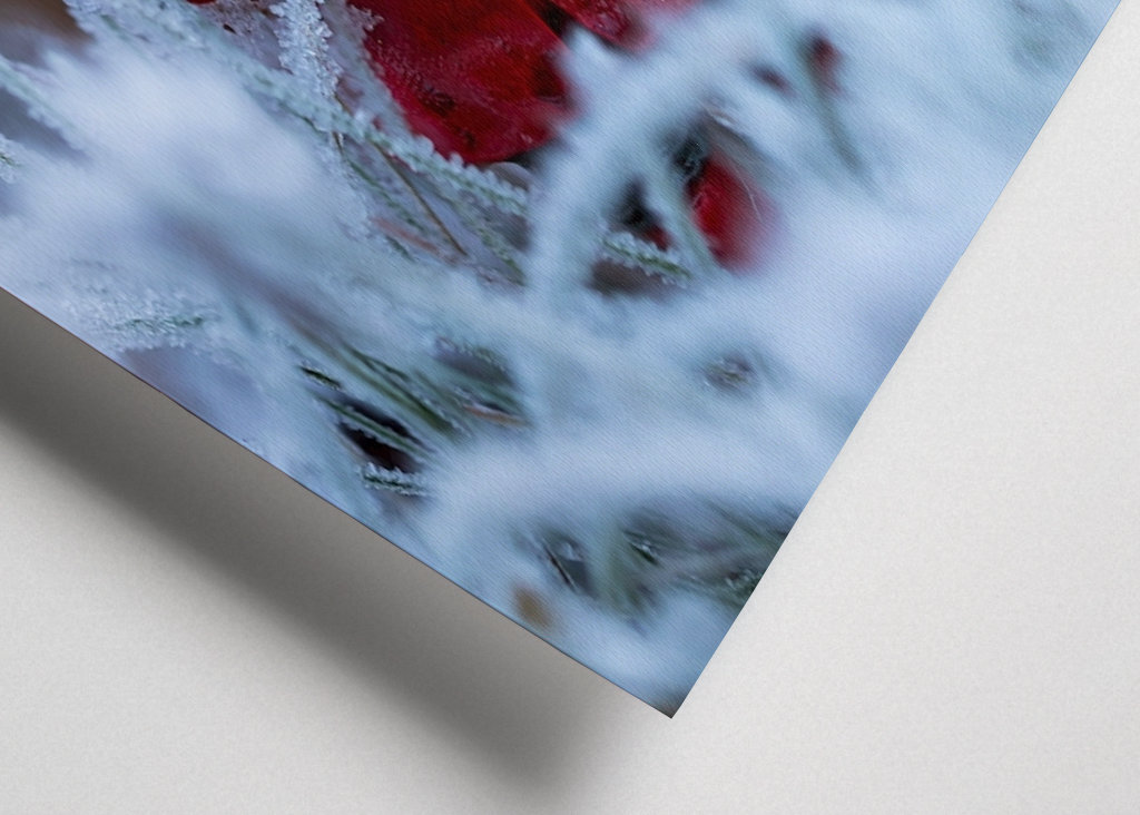 Santa Claus ve sněhu