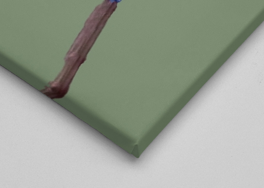 Tropikalny niebieski ptak 