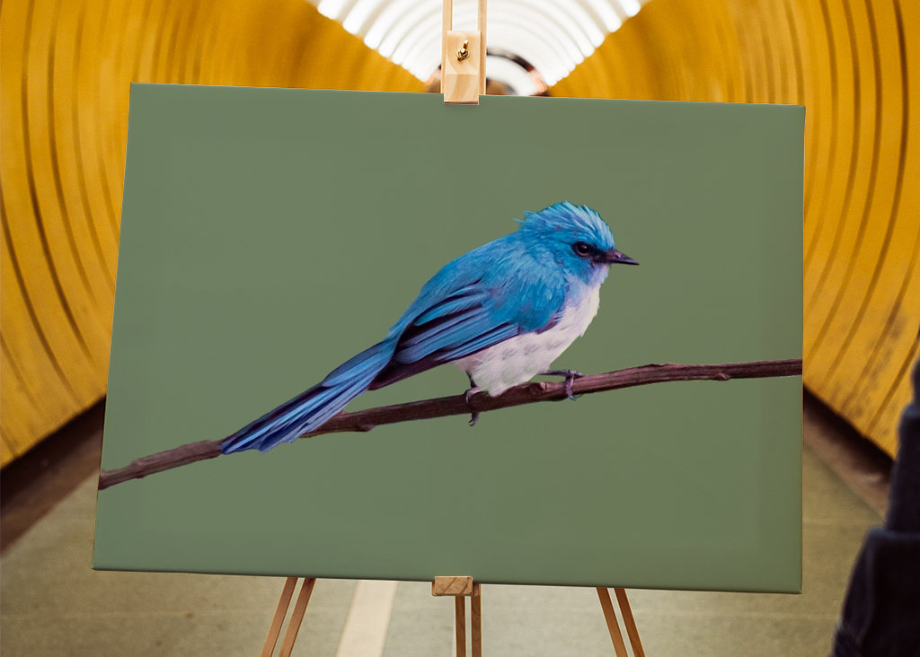 Tropikalny niebieski ptak 