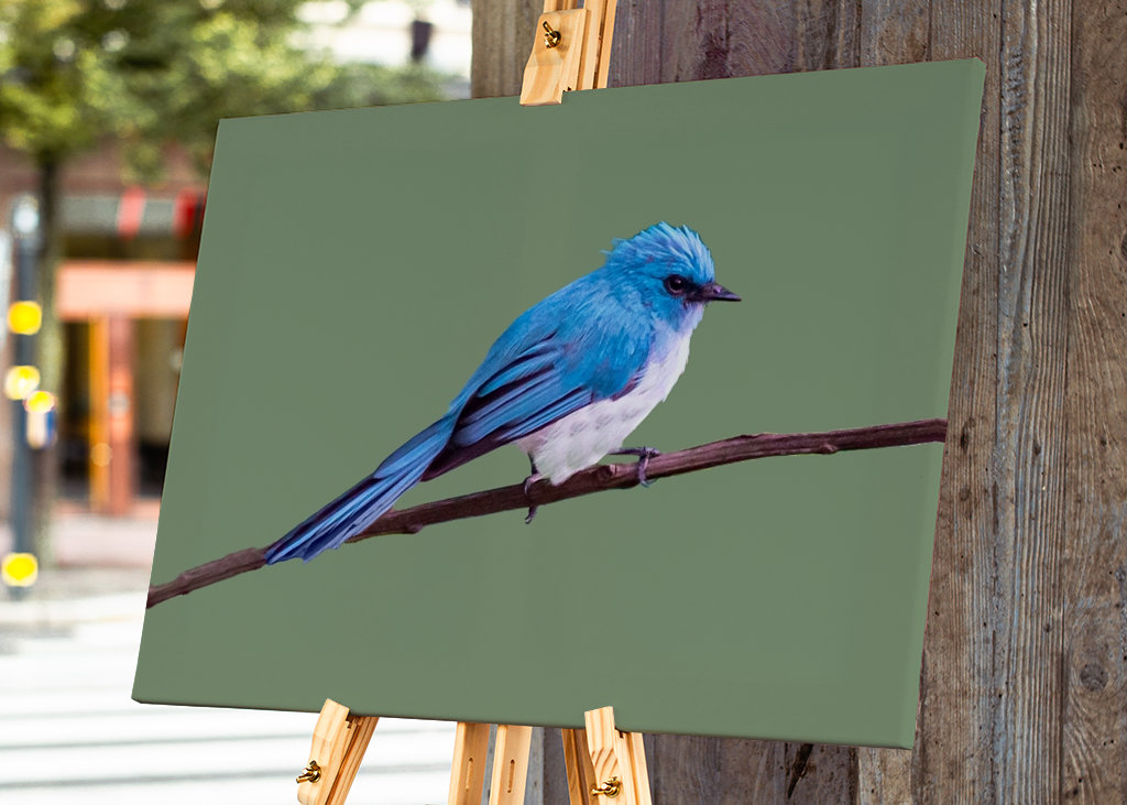 Tropikalny niebieski ptak 