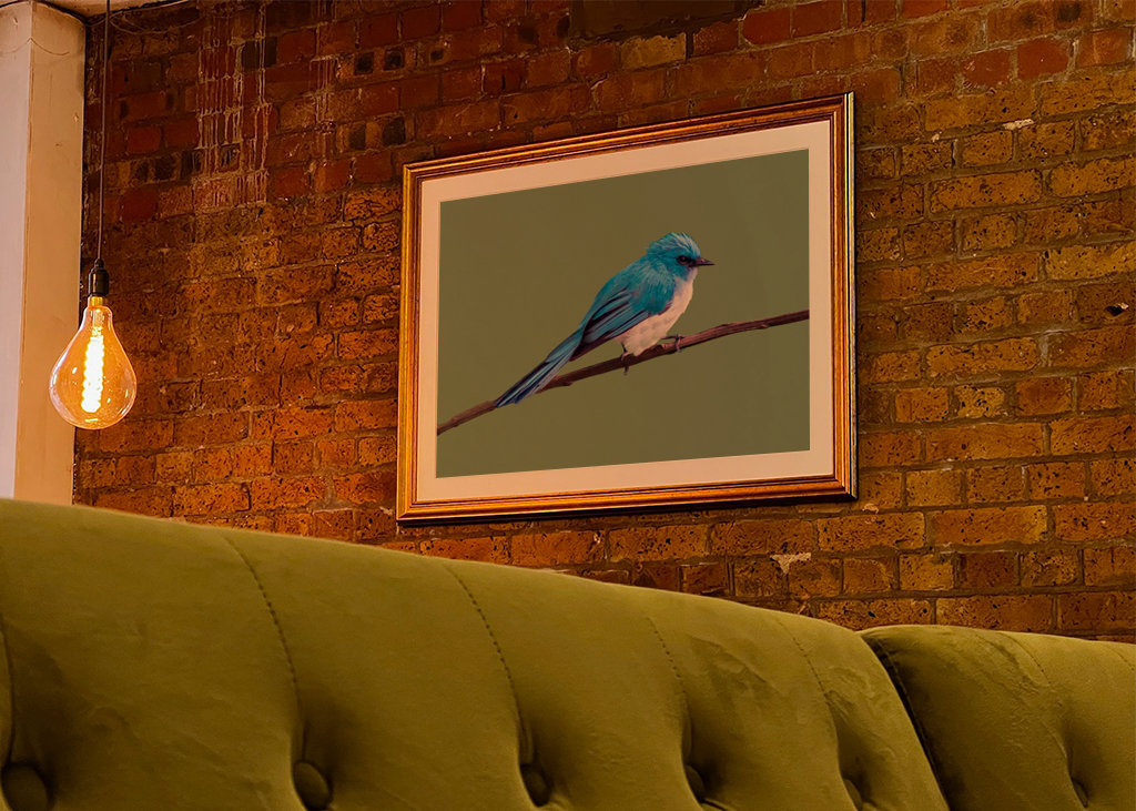 Tropikalny niebieski ptak 