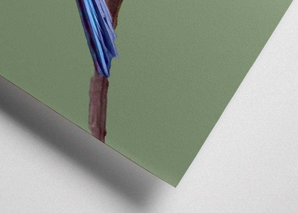 Tropikalny niebieski ptak 