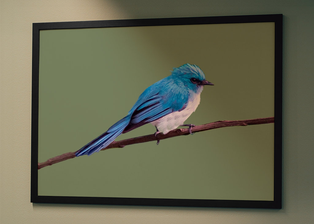 Tropikalny niebieski ptak 