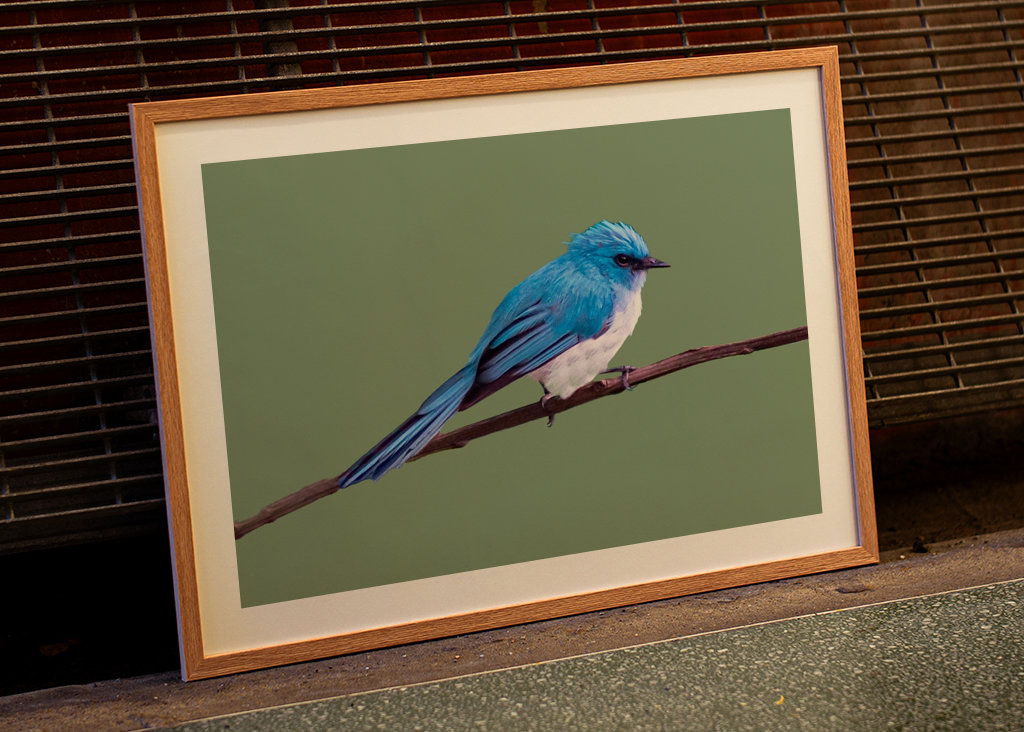 Tropikalny niebieski ptak 