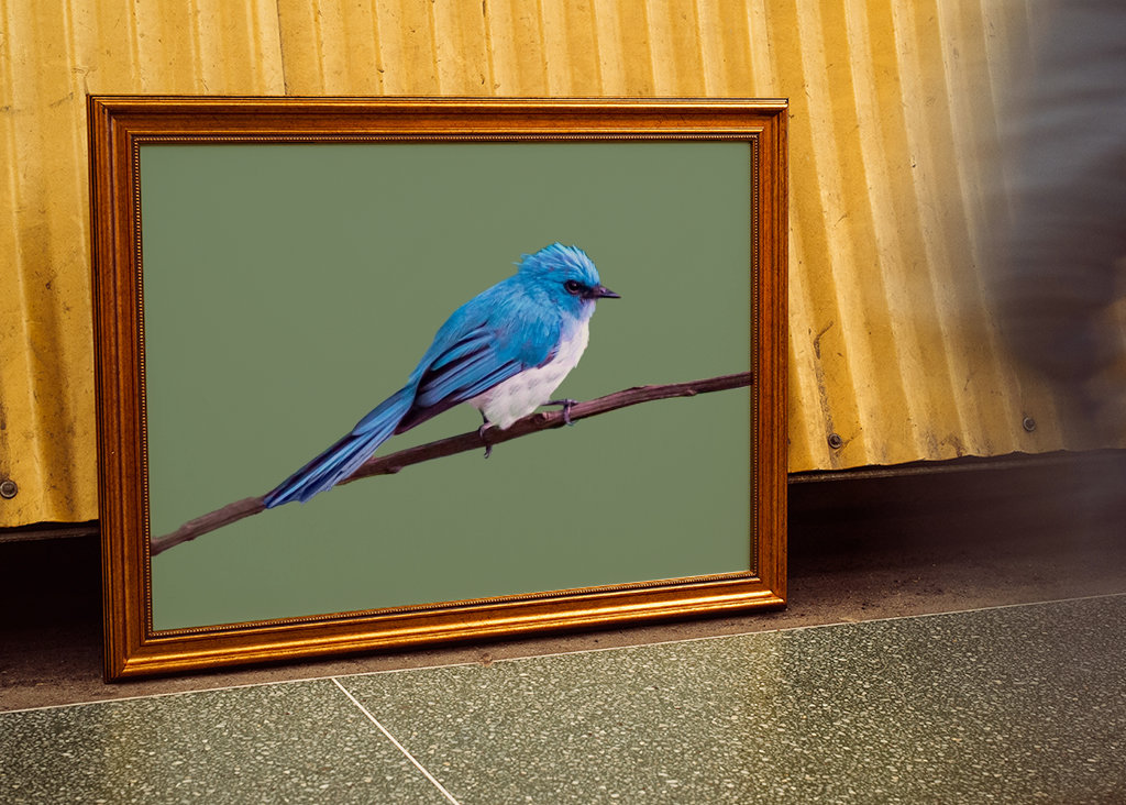 Tropikalny niebieski ptak 