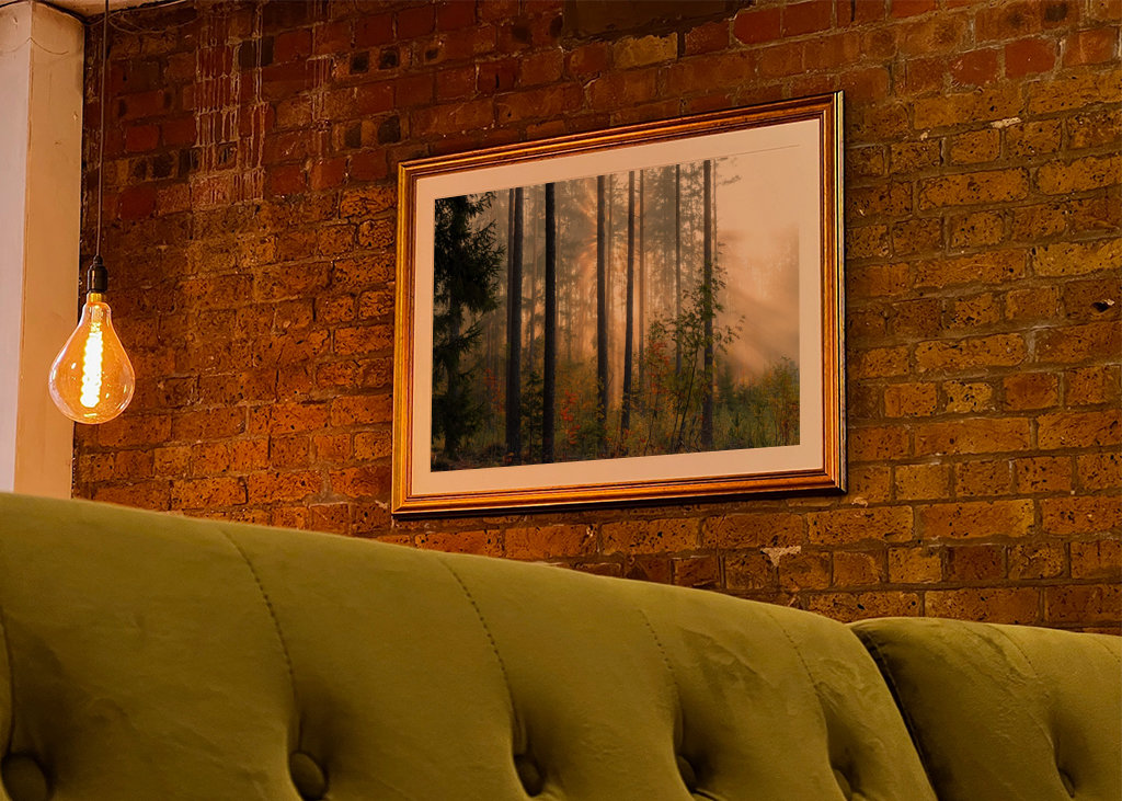 Autumn in the forest