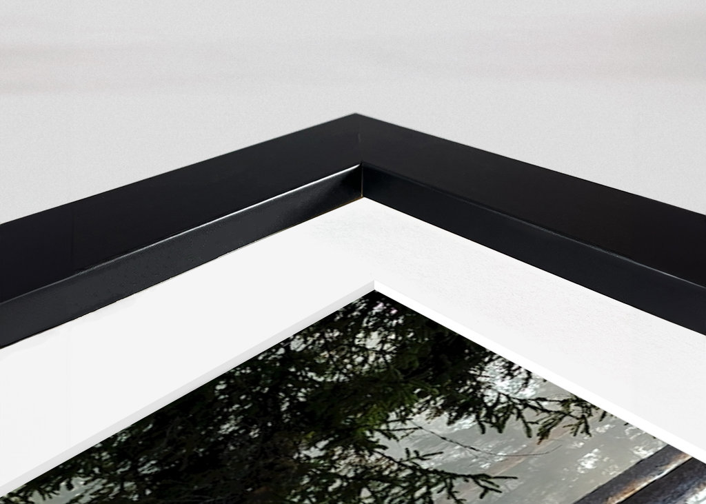 Autumn in the forest