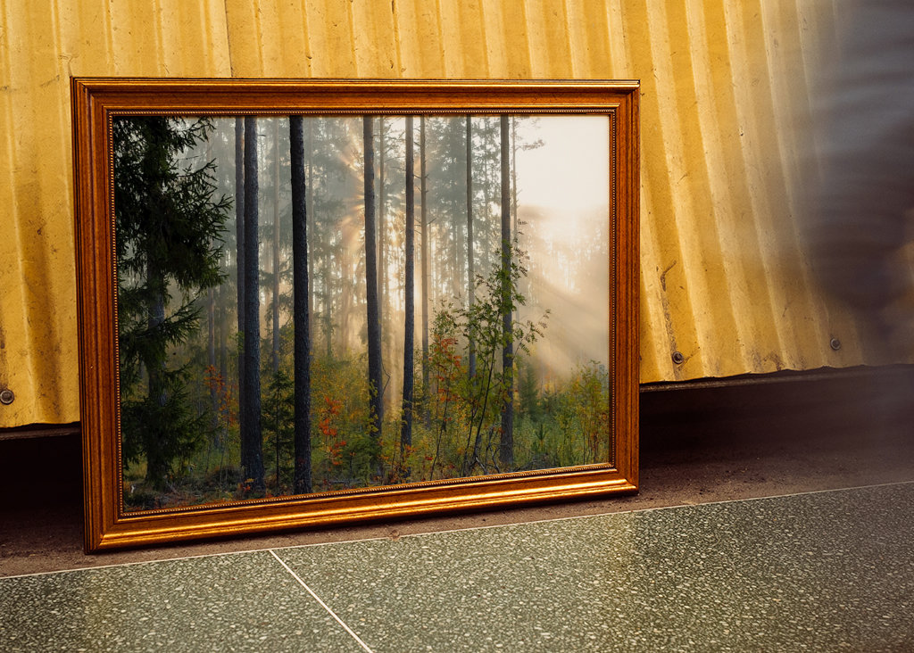 Autumn in the forest