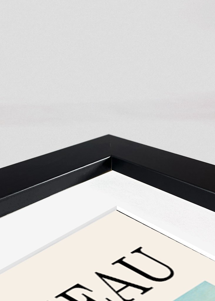 Plakát Henriho Rousseaua