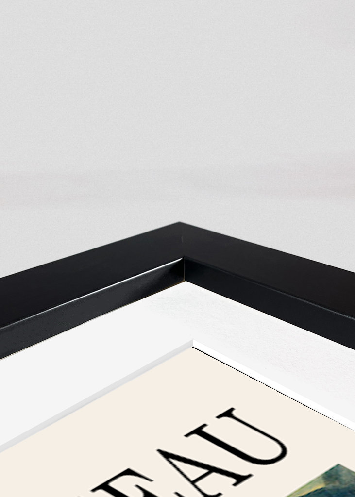 Henri Rousseau Poster 1909