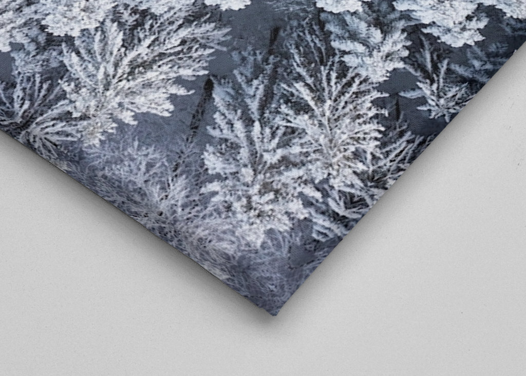 Winter im Schwarzwald